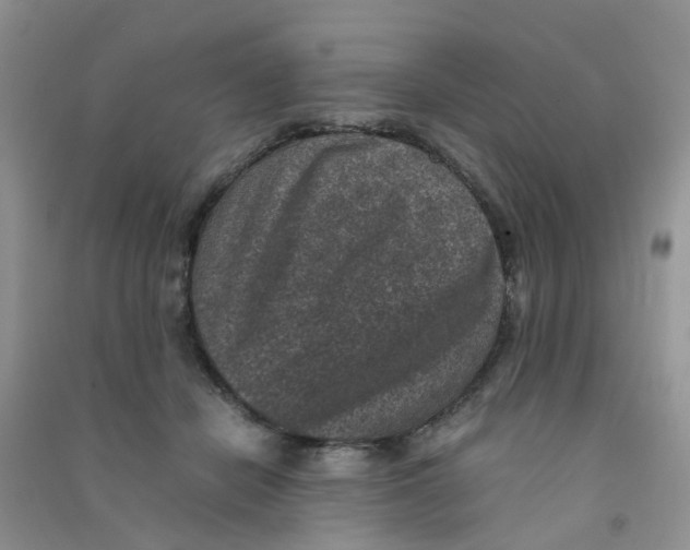 X0000090700462200708171850