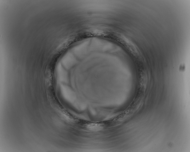 X0000090700465200708171850