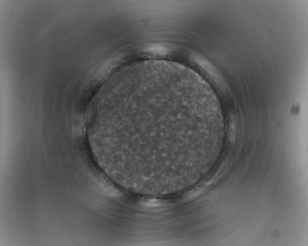 X0000090700467200708171850