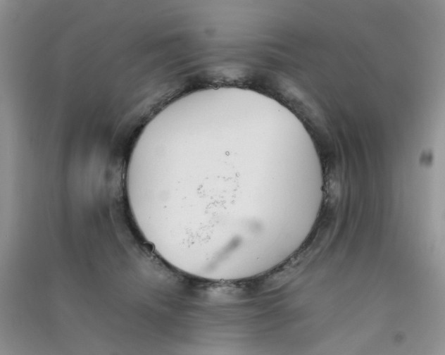 X0000090700468200708171850