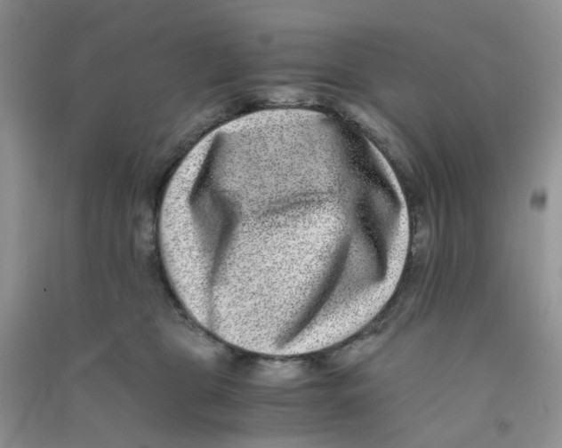 X0000090700469200708171850