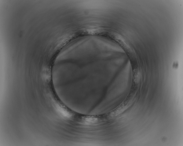 X0000090700471200708171850