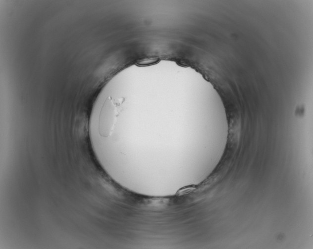 X0000090700474200708171850