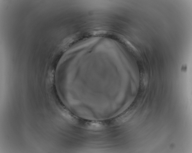 X0000090700475200708171850