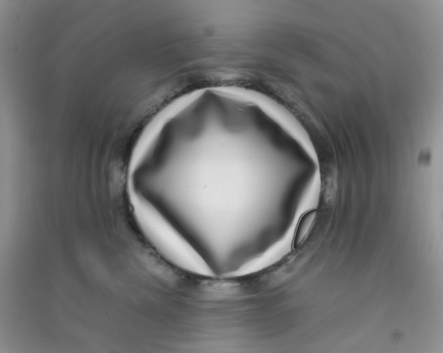 X0000090700476200708171850