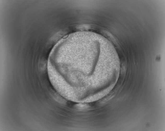 X0000090700477200708171850