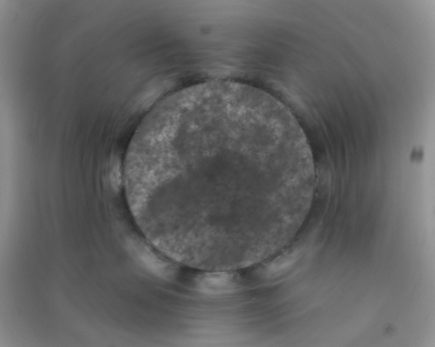 X0000090700479200708171850