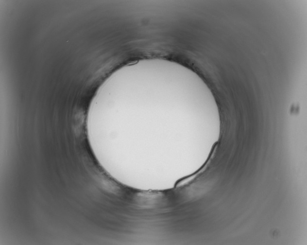 X0000090700480200708171850