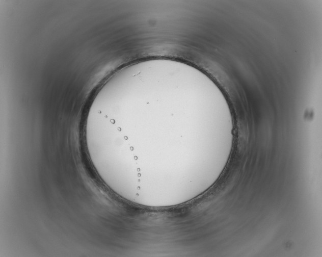 X0000090700482200708171849