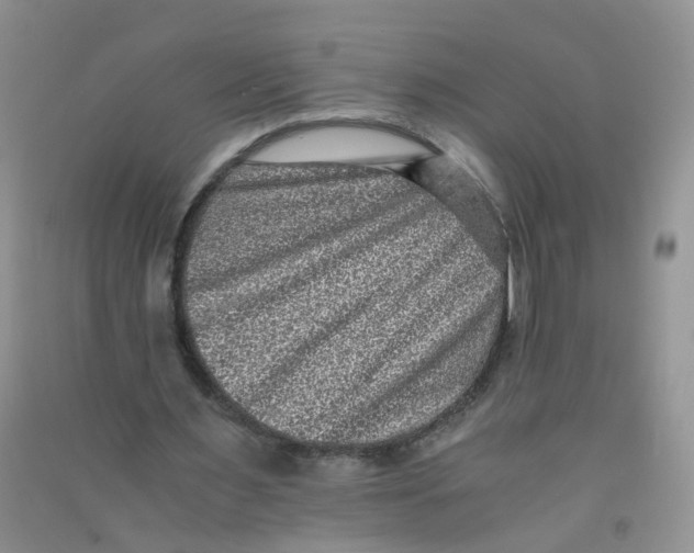 X0000090700483200708171849