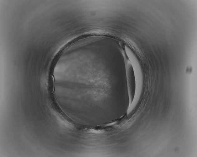 X0000090700484200708171849