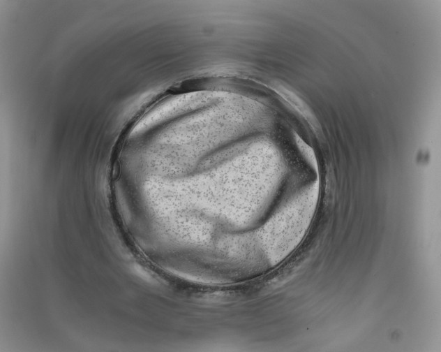 X0000090700485200708171849