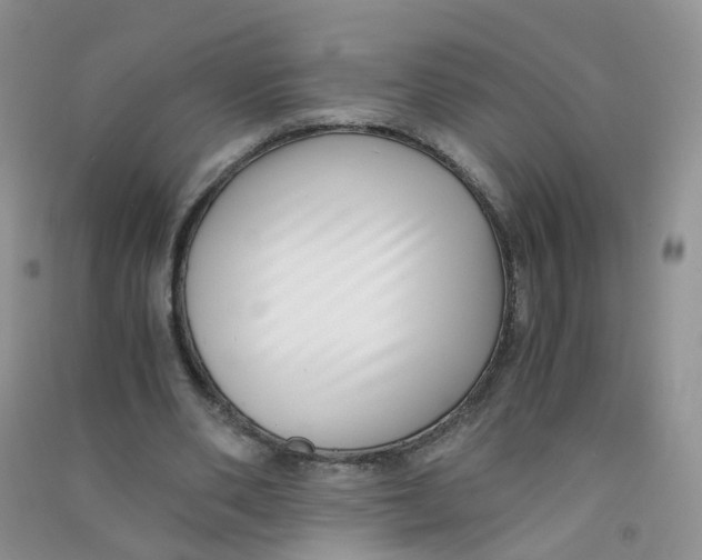 X0000090700486200708171849