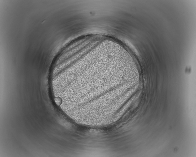 X0000090700487200708171849