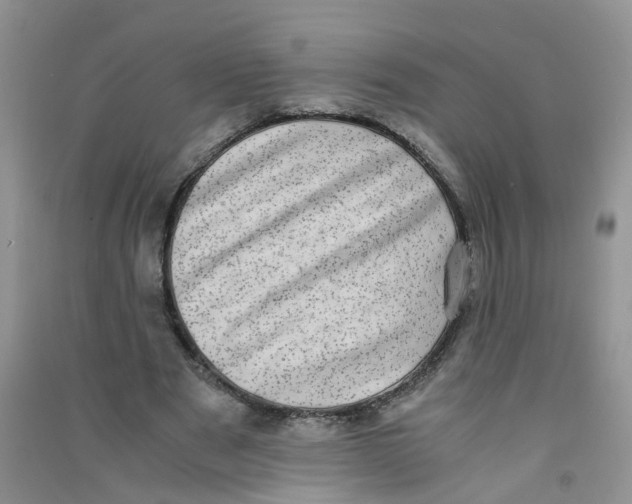 X0000090700489200708171849