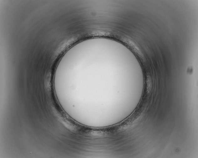 X0000090700490200708171849