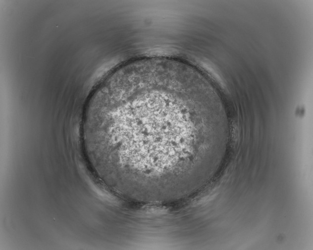 X0000090700491200708171849