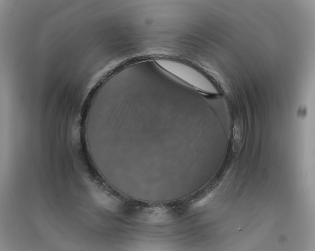 X0000090700492200708171849