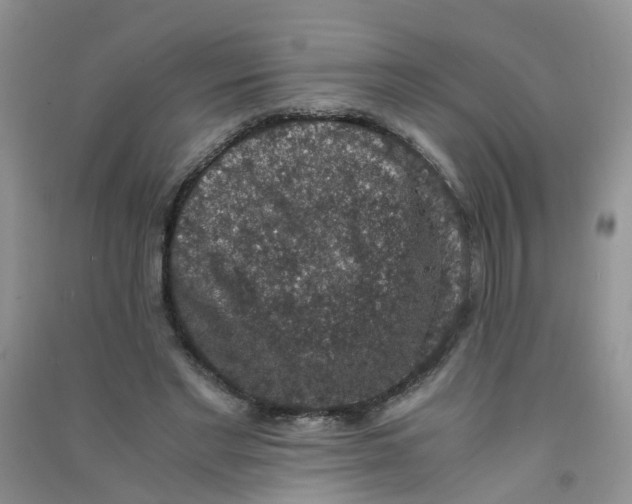 X0000090700493200708171849