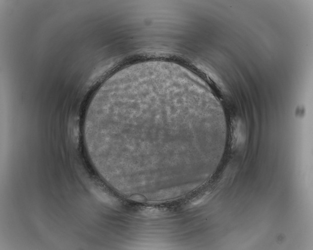 X0000090700494200708171849