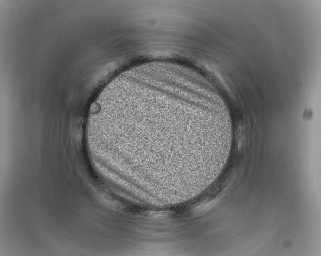 X0000090700495200708171849