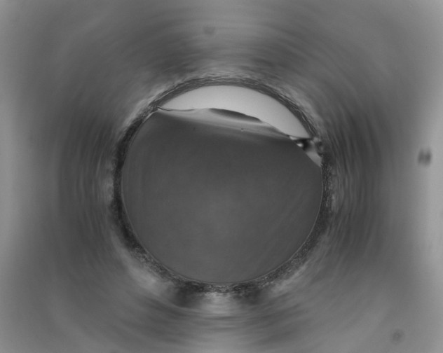 X0000090700496200708171849