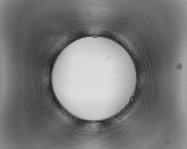 X0000090700497200708171849