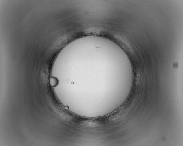 X0000090700498200708171849