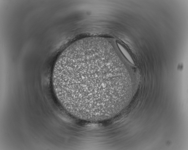 X0000090700499200708171849