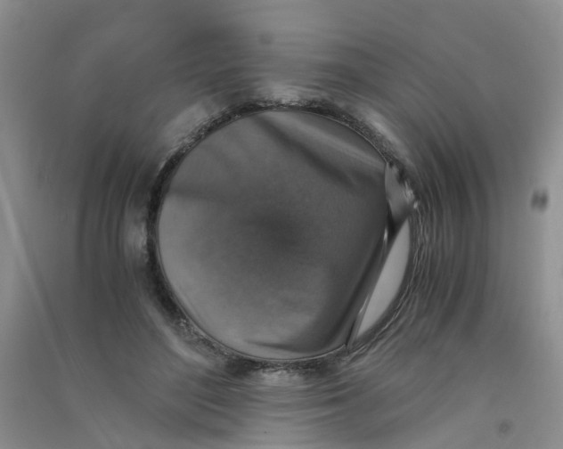 X0000090700500200708171849