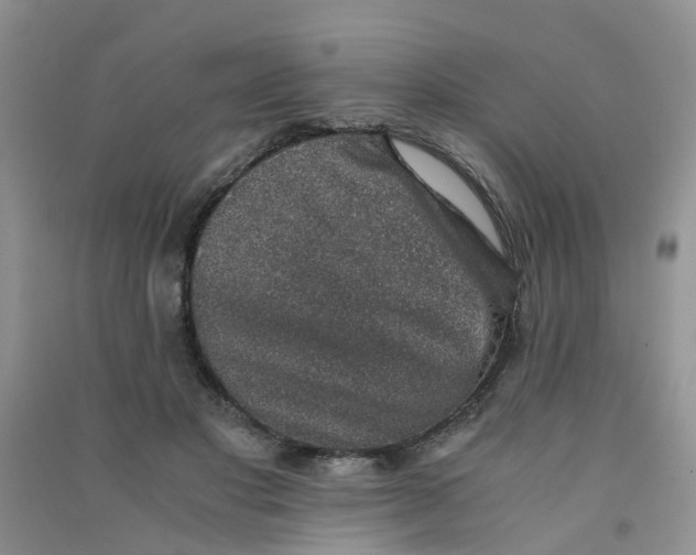 X0000090700501200708171849