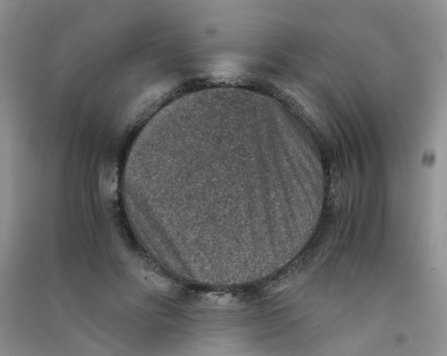 X0000090700502200708171849