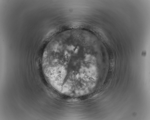 X0000090700503200708171849