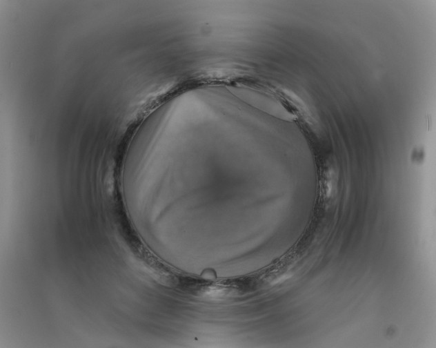 X0000090700504200708171849