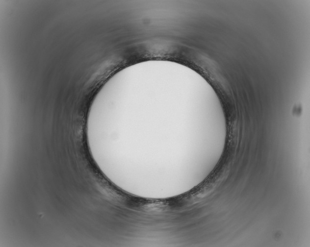 X0000090700505200708171849