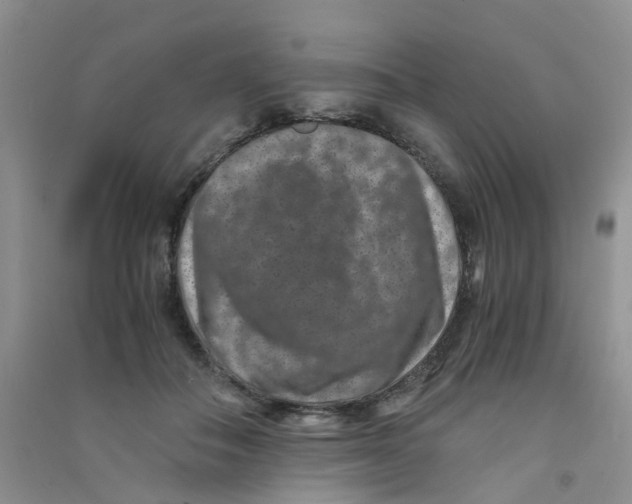 X0000090700506200708171849