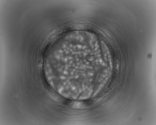 X0000090700507200708171849