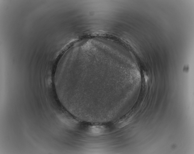 X0000090700508200708171849