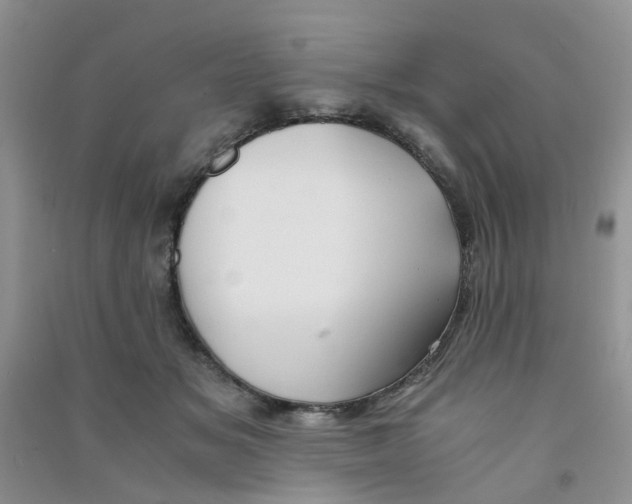 X0000090700509200708171849