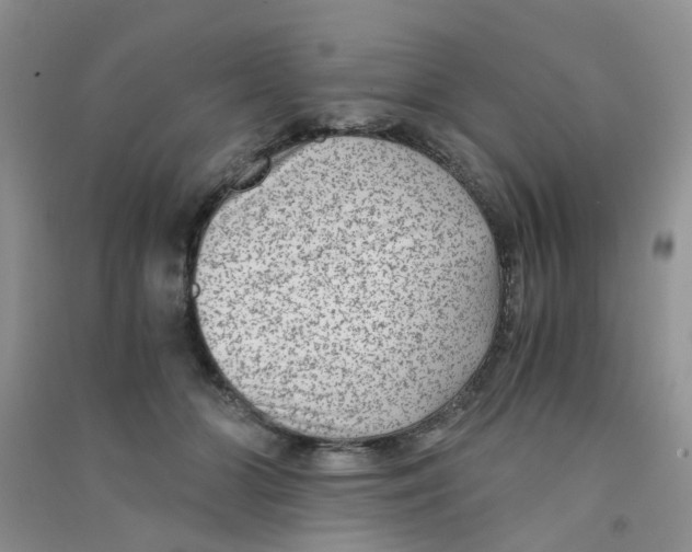 X0000090700510200708171849