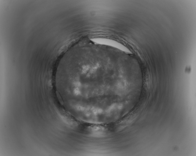 X0000090700512200708171849