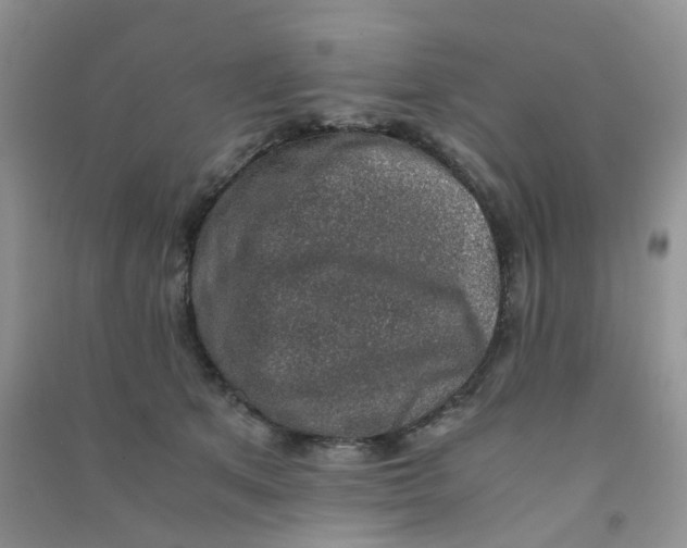 X0000090700513200708171849