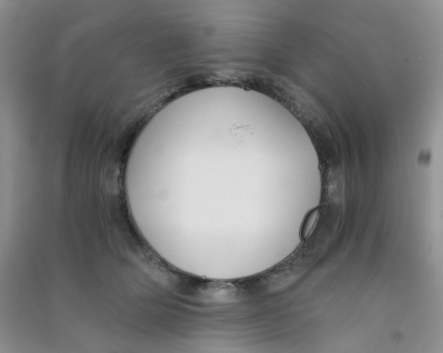 X0000090700514200708171849