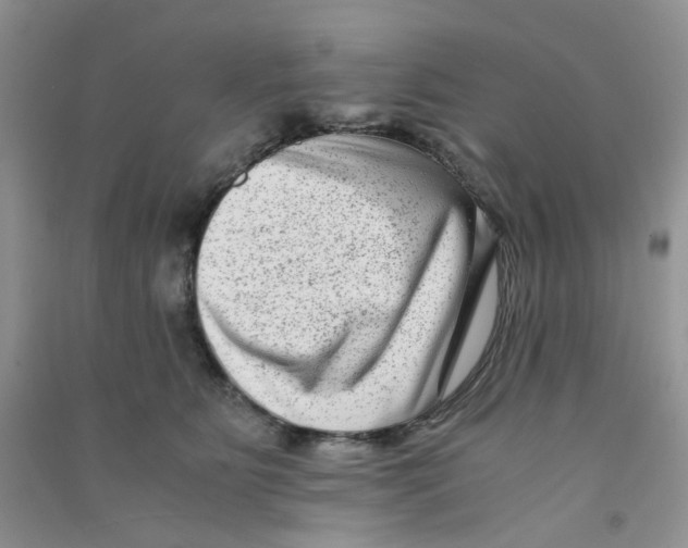 X0000090700515200708171849