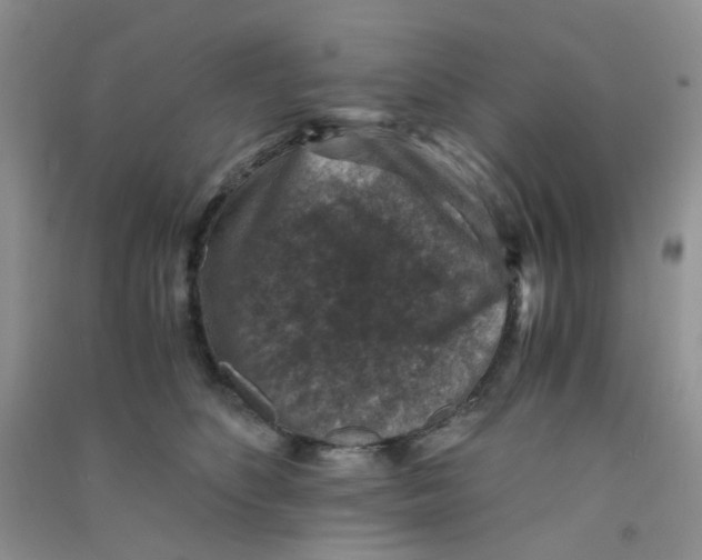 X0000090700516200708171849