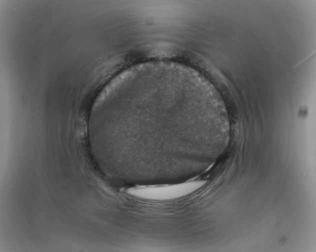 X0000090700517200708171849