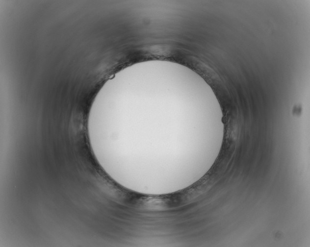 X0000090700518200708171849