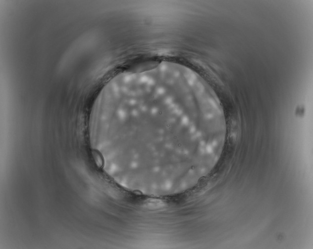 X0000090700519200708171849