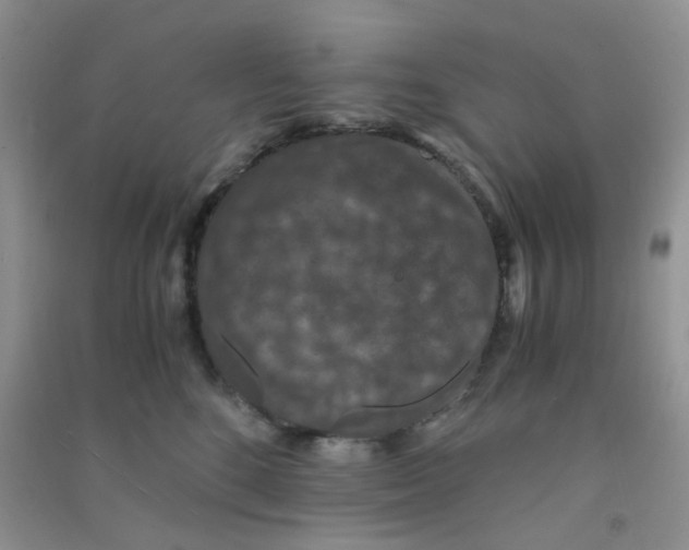 X0000090700520200708171849