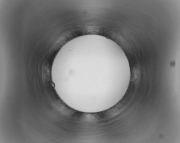 X0000090700522200708171849